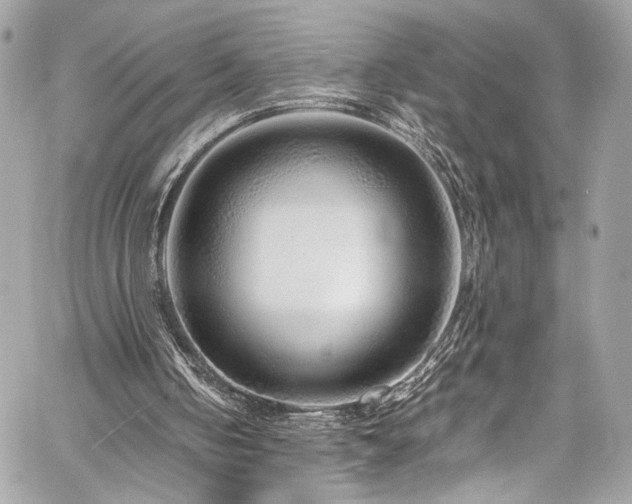 X0000059850050200510211223