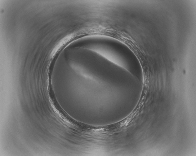 X0000059850054200510211223