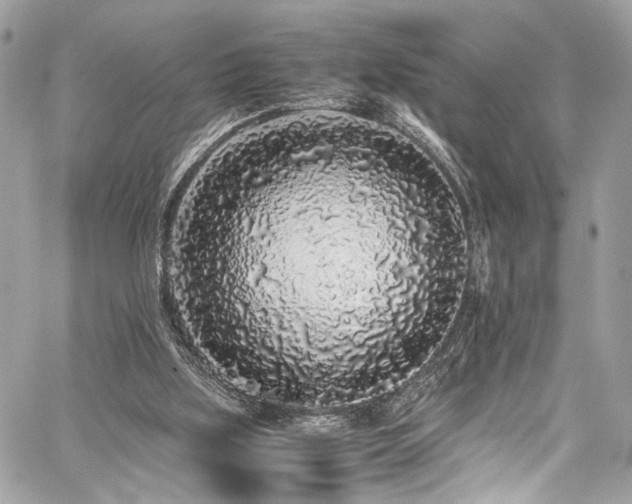 X0000059850059200510211223