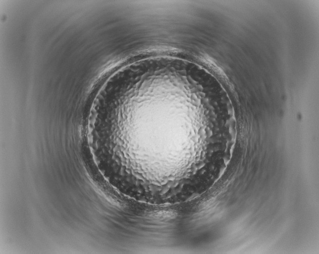 X0000059850063200510211223
