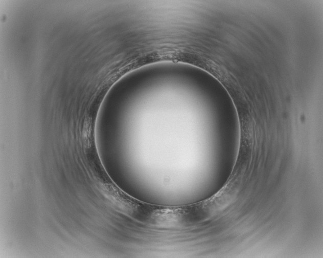 X0000059850082200510211224