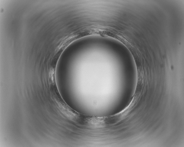 X0000059850094200510211224