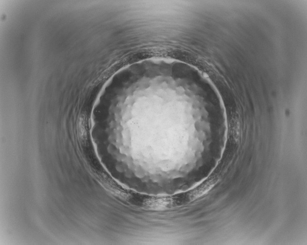 X0000059850131200510211223