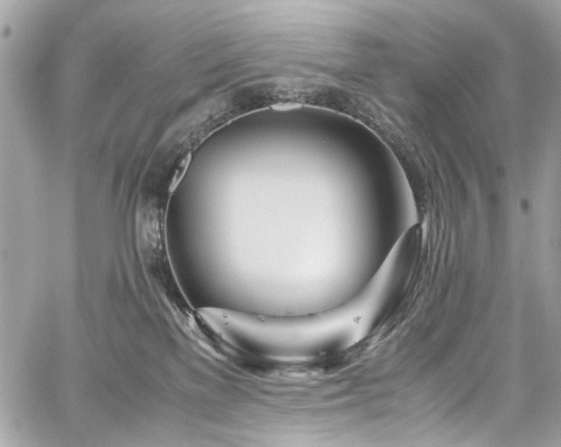 X0000059850137200510211222