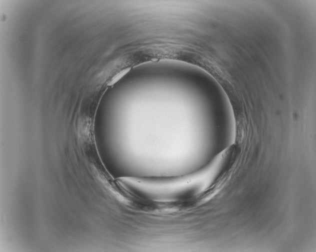 X0000059850141200510211222