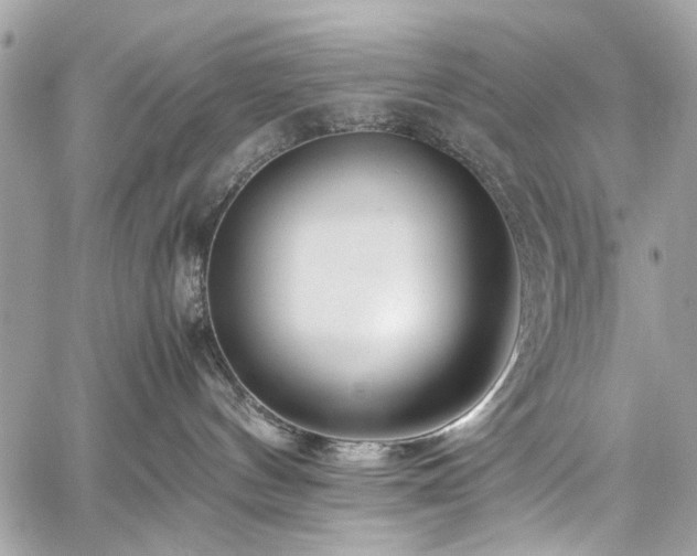 X0000059850144200510211222