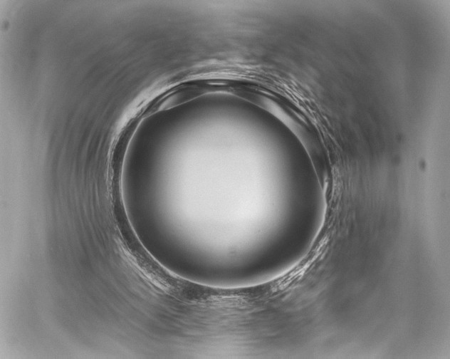X0000059850150200510211222