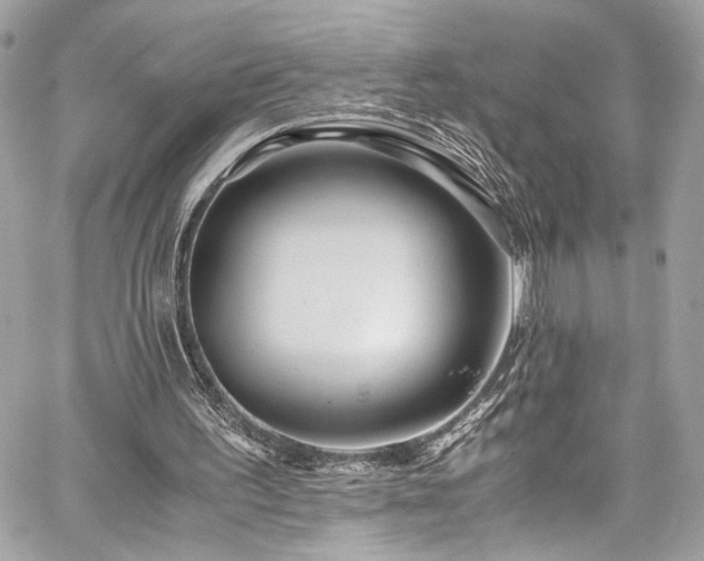 X0000059850195200510211221