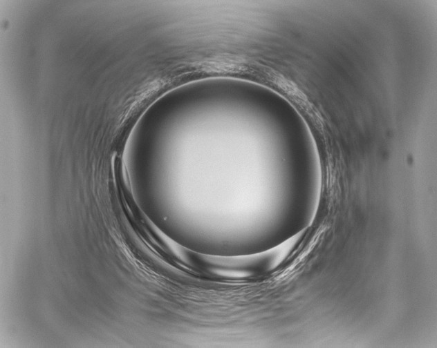 X0000059850201200510211221