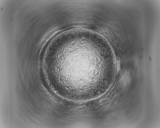 X0000059850243200510211220