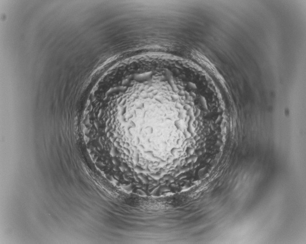 X0000059850249200510211220
