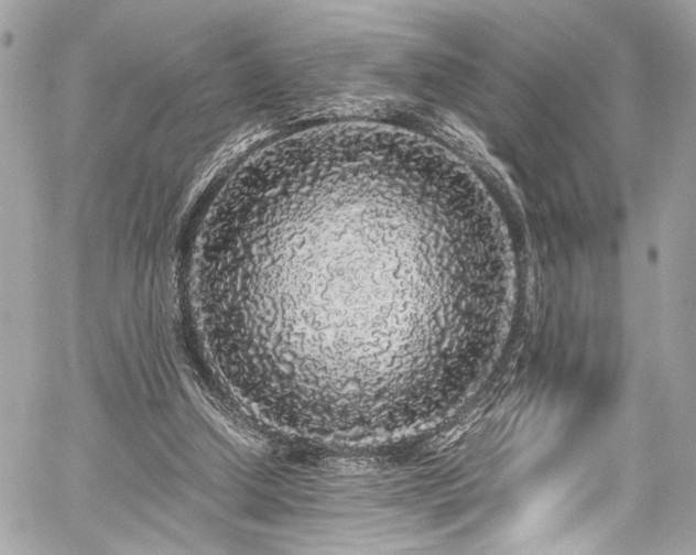 X0000059850250200510211220