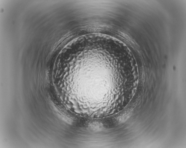 X0000059850258200510211220