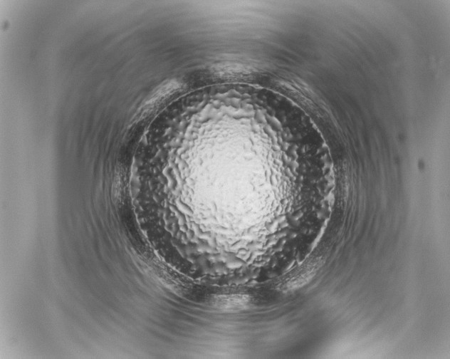 X0000059850266200510211220