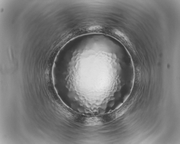 X0000059850269200510211220