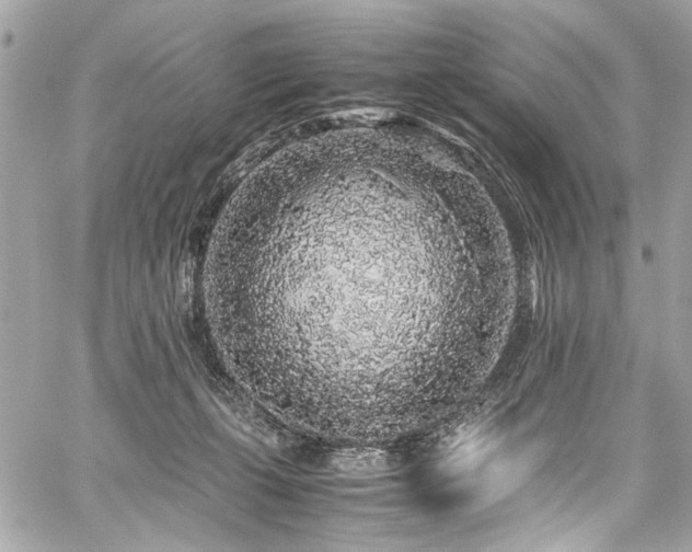 X0000059850271200510211220