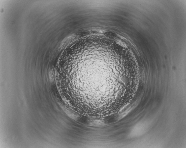 X0000059850285200510211221