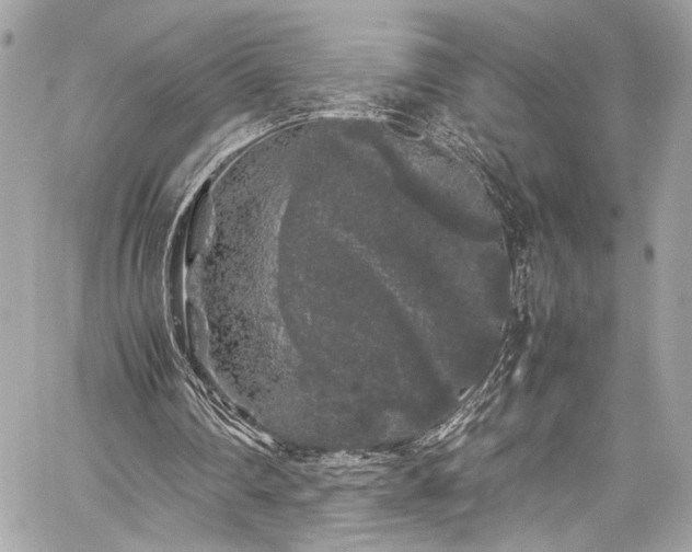 X0000059850290200510211220