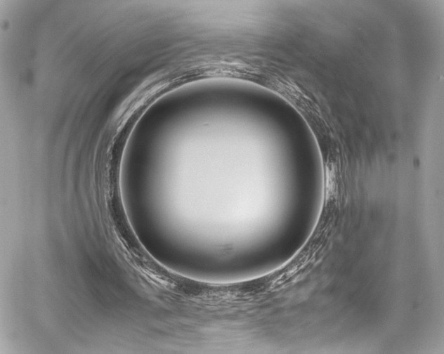 X0000059850291200510211220
