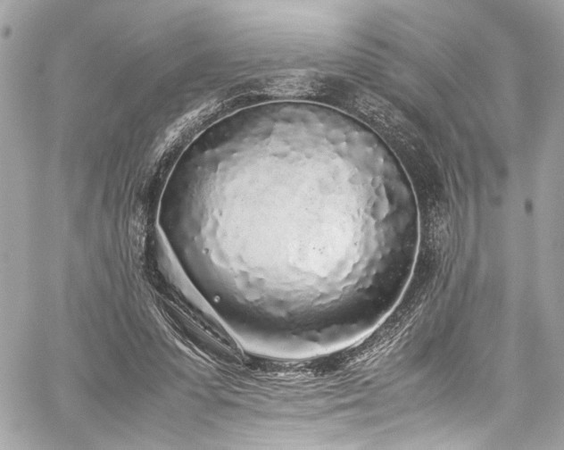 X0000059850303200510211220