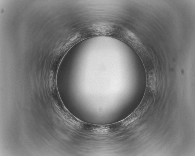 X0000059850318200510211219