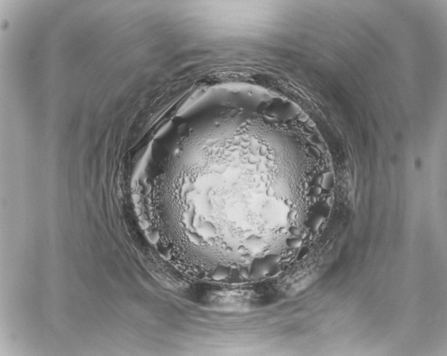 X0000059850323200510211219