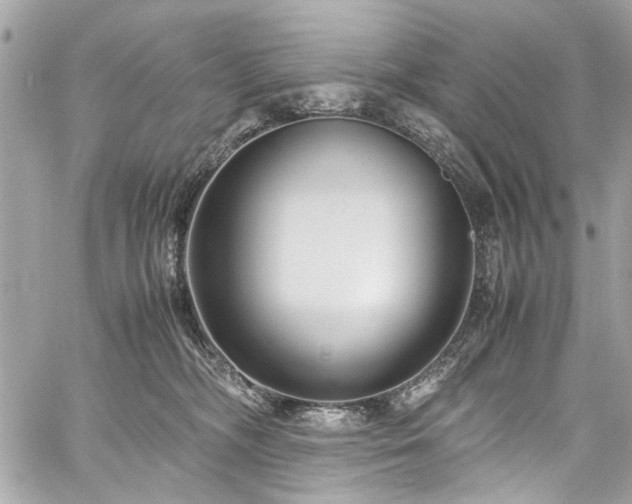 X0000059850326200510211219