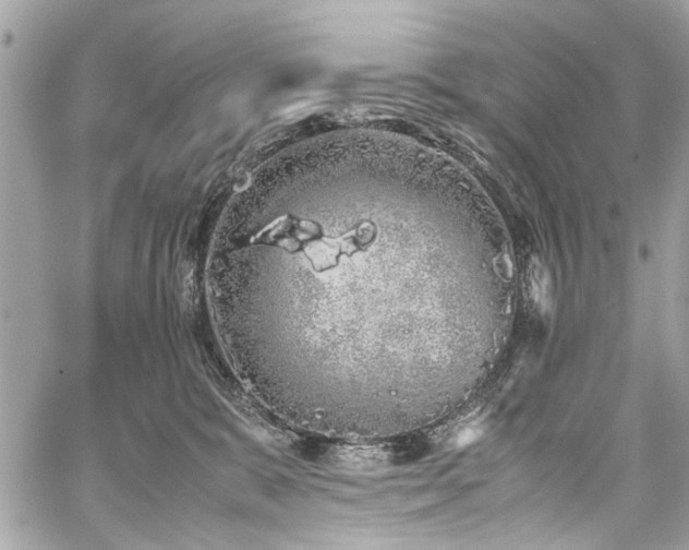 X0000059850327200510211219