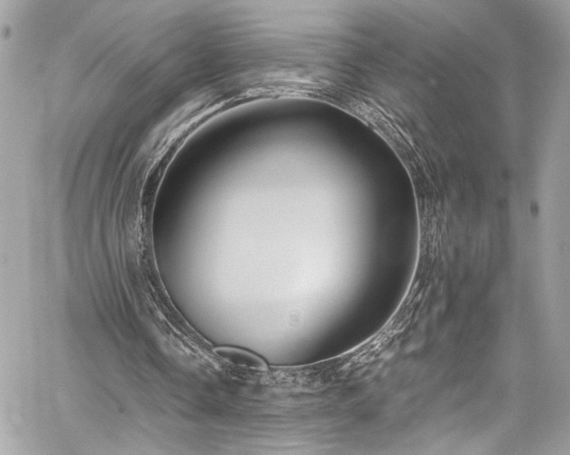 X0000059850338200510211218