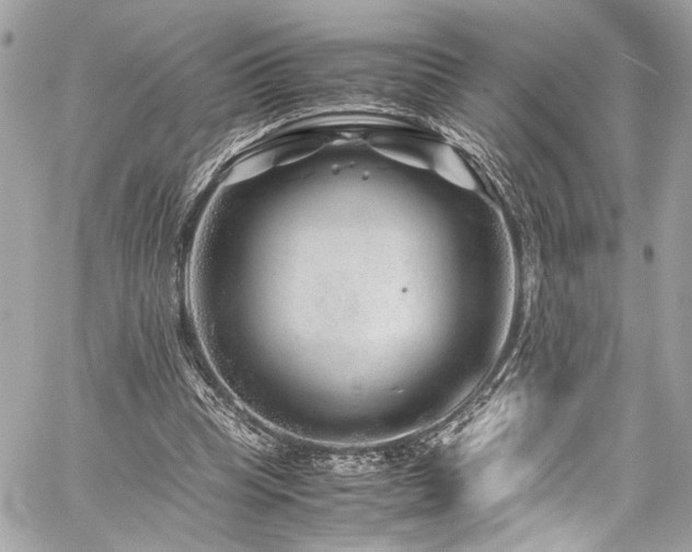 X0000059850345200510211218