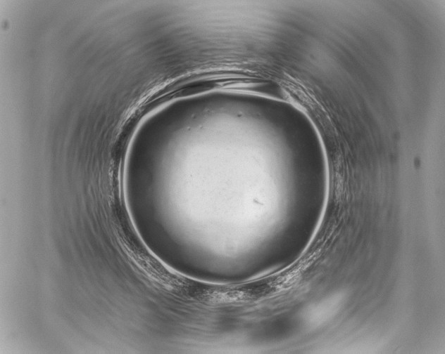 X0000059850346200510211218