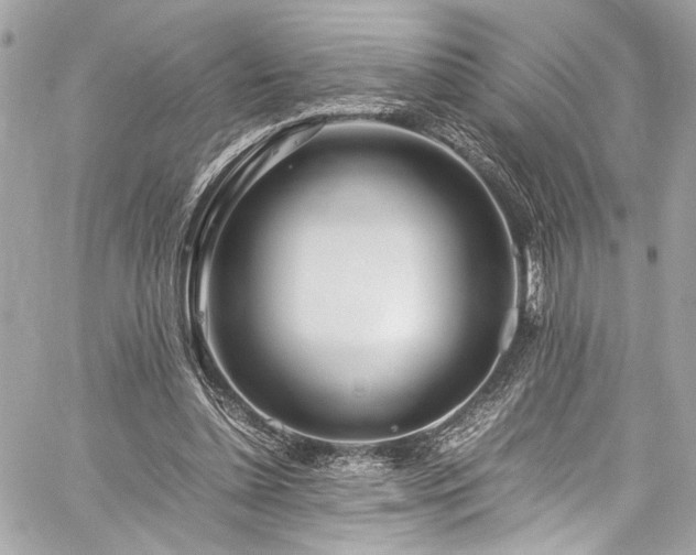 X0000059850348200510211219