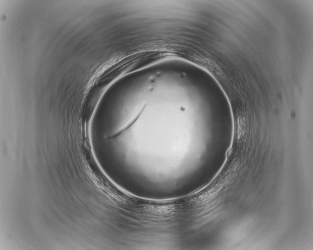 X0000059850349200510211219