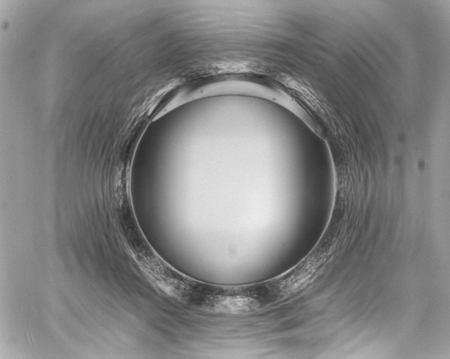 X0000059850360200510211219