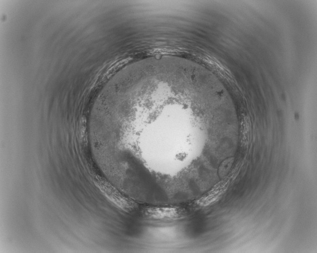 X0000059850361200510211219