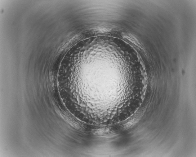 X0000059850366200510211219