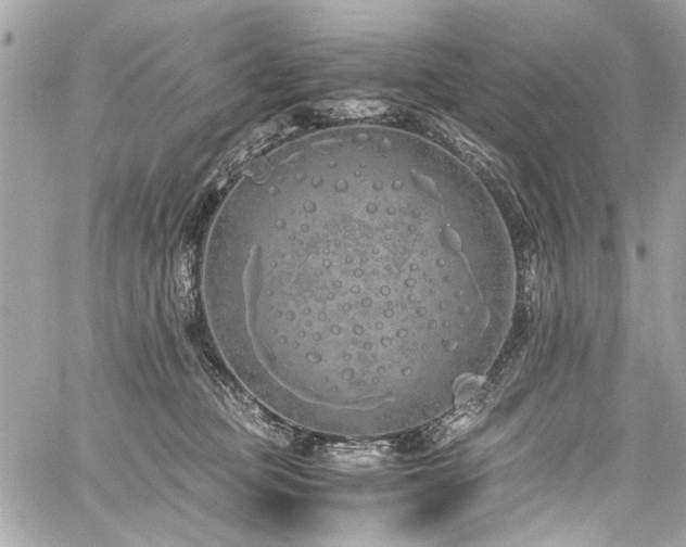 X0000059850373200510211219