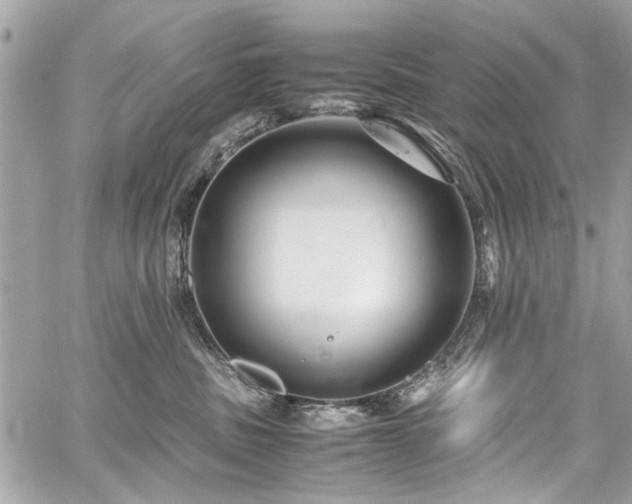 X0000059850379200510211219