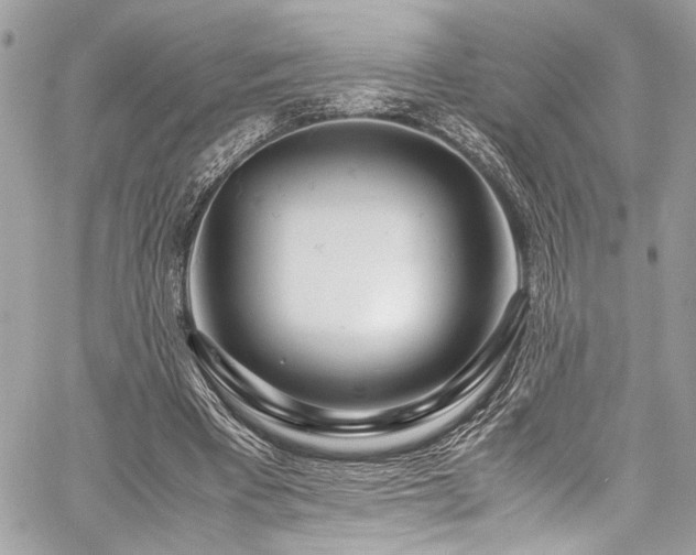 X0000059850393200510211218