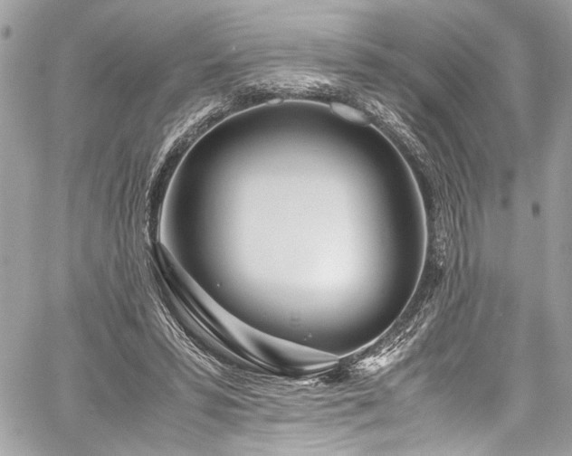 X0000059850399200510211218