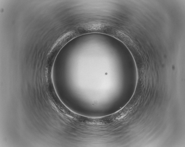 X0000059850400200510211218