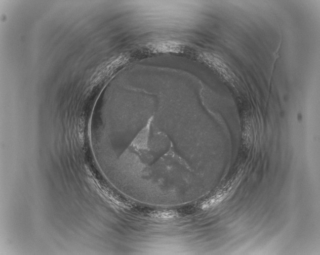 X0000059850402200510211218