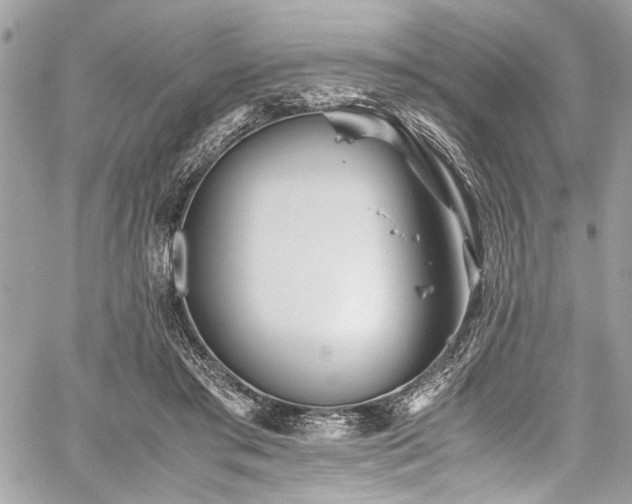 X0000059850405200510211218