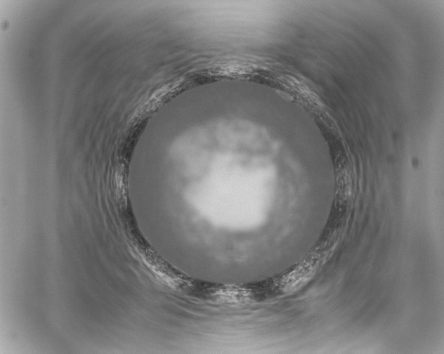 X0000059850415200510211218