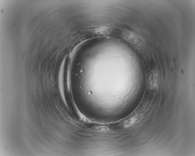 X0000059850424200510211218