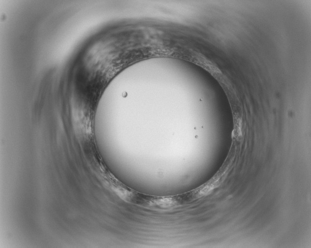 X0000059850431200510211218