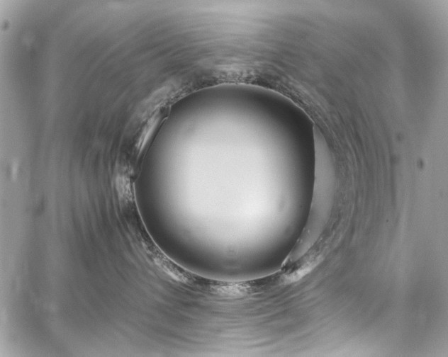 X0000059850432200510211218