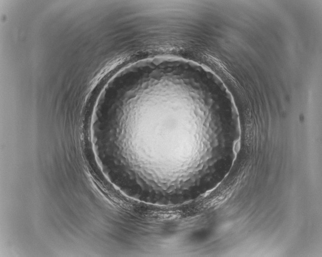 X0000059850443200510211217