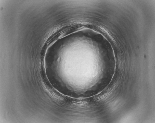 X0000059850447200510211217