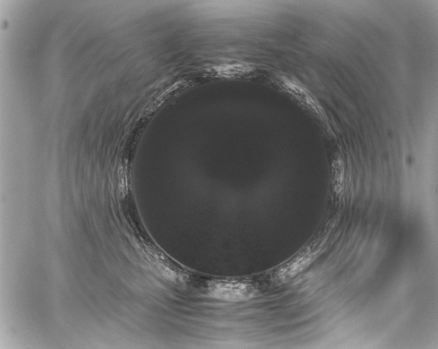 X0000059850471200510211217